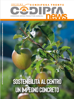 Copertina-CodipraNews-3-2024